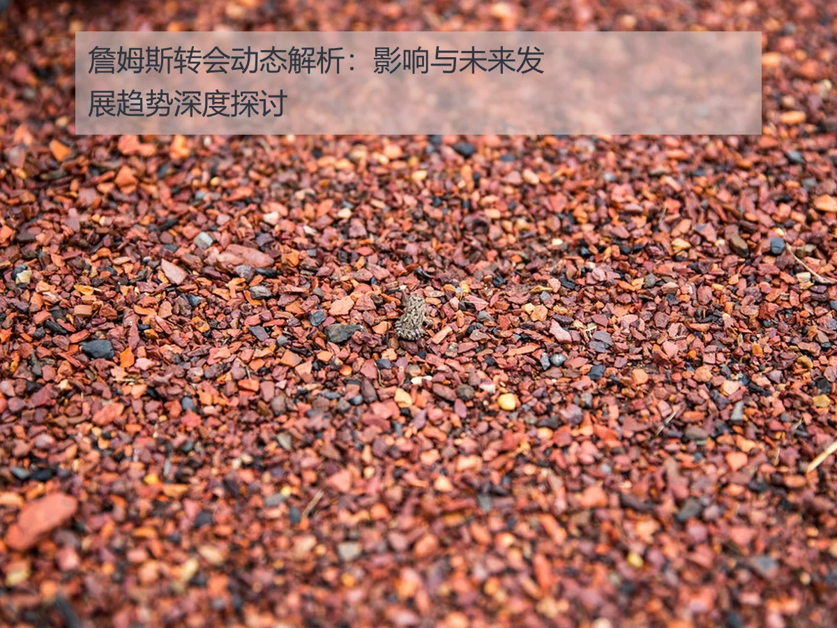 詹姆斯转会动态解析:影响与未来发展趋势深度探讨